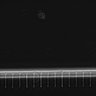 Thumbnail for dataset Fig2_sup1_ph20TxRed500_Bin2_FpLrT10_15Cp_2_Pos20
