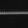 Thumbnail for dataset Fig2_sup1_ph20TxRed500_Bin2_FpLrT10_15Cp_4_Pos1