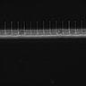 Thumbnail for dataset Fig2_sup1_ph20TxRed500_Bin2_FpLrT10_15Cp_4_Pos6