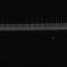 Thumbnail for dataset Fig2_sup1_ph20TxRed500_Bin2_FpLrT10_15Cp_4_Pos8