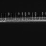 Thumbnail for dataset Fig2_sup1_ph20TxRed500_Bin2_FpLrT10_15Cp_4_Pos15