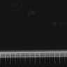 Thumbnail for dataset Fig2_sup1_ph20TxRed500_Bin2_FpLrT10_15Cp_4_Pos30