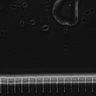 Thumbnail for dataset Fig2_sup1_ph20TxRed500_Bin2_FpLrT10_15Cp_4_Pos37