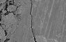 Thumbnail for dataset fig2a_osseoImplant