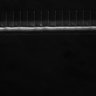 Thumbnail for dataset Fig5_ph(FilTer)50TxRed100YFP100_Bin2_YK0136_15Cp_1_Pos2