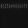 Thumbnail for dataset Fig5_ph(FilTer)50TxRed100YFP100_Bin2_YK0136_15Cp_1_Pos4