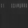 Thumbnail for dataset Fig5_ph(FilTer)50TxRed100YFP100_Bin2_YK0136_15Cp_1_Pos11