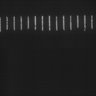 Thumbnail for dataset Fig5_ph(FilTer)50TxRed100YFP100_Bin2_YK0136_15Cp_1_Pos13