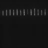 Thumbnail for dataset Fig5_ph(FilTer)50TxRed100YFP100_Bin2_YK0136_15Cp_1_Pos19