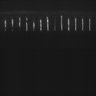 Thumbnail for dataset Fig5_ph(FilTer)50TxRed100YFP100_Bin2_YK0136_15Cp_2_Pos19