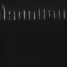 Thumbnail for dataset Fig5_ph(FilTer)50TxRed100YFP100_Bin2_YK0136_15Cp_2_Pos34