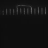 Thumbnail for dataset Fig5_ph(FilTer)50TxRed100YFP100_Bin2_YK0136_15Cp_2_Pos41