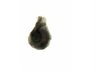 Thumbnail for dataset lacrimal_natural_D0