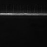 Thumbnail for dataset Video5_ph50(FilTer)TxRed500YFP100_Bin2_YK0136_Cp_1_Pos1