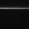 Thumbnail for dataset Video5_ph50(FilTer)TxRed500YFP100_Bin2_YK0136_Cp_1_Pos2