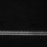Thumbnail for dataset Video5_ph50(FilTer)TxRed500YFP100_Bin2_YK0136_Cp_1_Pos37