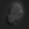 Thumbnail for RNAi_Y71H2_378.a_070313_02