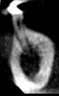 Thumbnail for dataset fig4C_reconstructed_after
