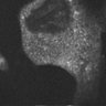Thumbnail for dataset Fig4C_Resort