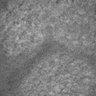 Thumbnail for dataset FigS9_switch1527