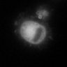 Thumbnail for dataset Fig1e_SuppleMovie1_BV6-zVAD