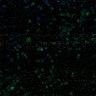 Thumbnail for dataset fig7_RSAdetection_0w