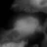 Thumbnail for dataset Fig3b_WT_BV6-zVAD