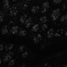 Thumbnail for SuppleFig2c_SuppleMovie4_Ireum-TNF