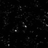 Thumbnail for dataset VideoS2_syncytialization