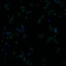 Thumbnail for dataset fig7_RSAdetection_8w