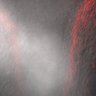 Thumbnail for dataset Figure5J_wnt5a_KO_anterior