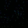 Thumbnail for dataset fig7_Antihuman_NucleiMab