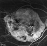 Thumbnail for dataset figS10B_1Y_2.56min