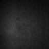 Thumbnail for dataset Fig7C_MovieS9_ctrl3