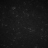 Thumbnail for dataset FigS13A_MovieS10_ctrl1
