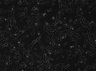 Thumbnail for dataset fig1a_FullRaw_Ph