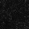 Thumbnail for dataset fig4a_bottom