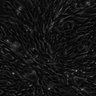 Thumbnail for dataset fig4a_top