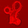 Thumbnail for dataset Fig4H_ERKact_Actin