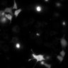 Thumbnail for dataset Figure5A_20191127_HTR1B_1_control