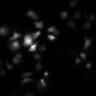 Thumbnail for Figure5A_20191127_HTR1D_2_control