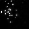 Thumbnail for dataset Figure5A_20191204_HTR5_1_control