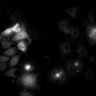 Thumbnail for dataset Figure6A_20191204_HTR7_1_HTR7