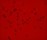 Thumbnail for Fig2_MDS_DMSO_2