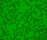 Thumbnail for Fig6_HL-60_DAC0.5_2