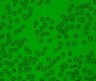 Thumbnail for Fig6_HL-60_DAC0.5_3