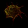 Thumbnail for dataset VideoS1_ctrl