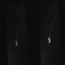 Thumbnail for dataset Fig2C_Ca_naiveWT_10