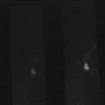 Thumbnail for dataset Fig2C_Ca_conditionUNC13_2