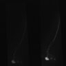 Thumbnail for dataset Fig2C_Ca_conditionUNC13_3
